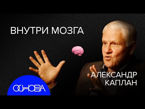 Видео: КАПЛАН: Мозг Эйнштейна, ChatGPT, Интуиция, Neuralink