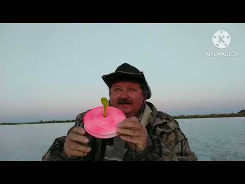 Видео: Рыбалка в Казахстане.Щука есть,ловить надо уметь.