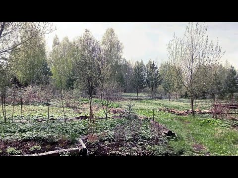 Видео: МирТрудМай. Кинешма 2024