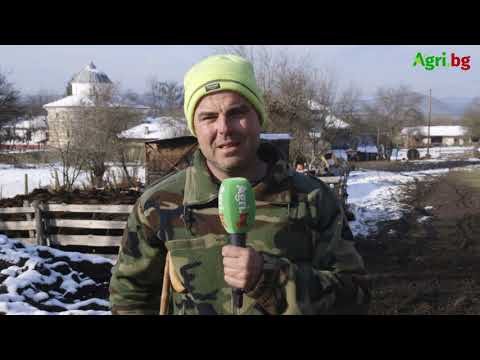 Видео: Стопанство в манастирския двор