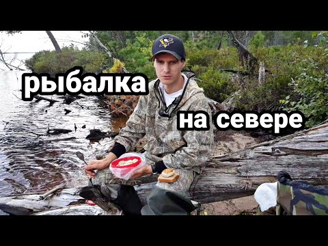 Видео: Рыбалка на севере. Архангельская область. Змеиное Озеро.