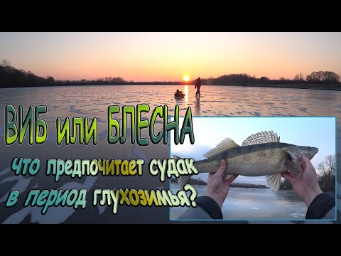 Видео: ВИБ (Раттлин) или вертикальная блесна? Что эффективнее, при ловле СУДАКа, в период глухозимья?