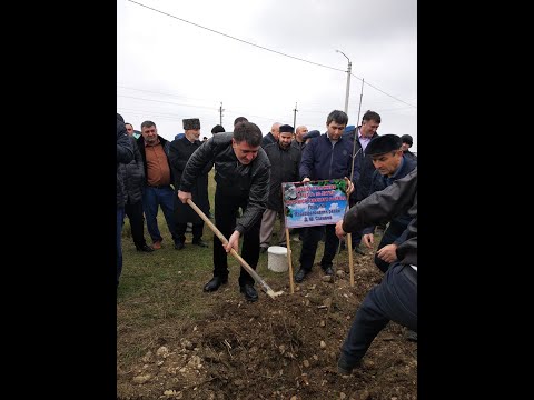 Видео: В Эндирее заложена аллея "Дружба"