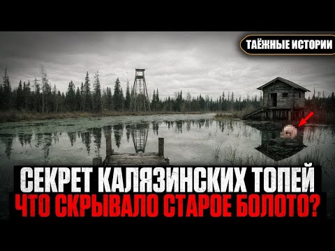 Видео: КАК ИСЧЕЗАЮТ ЛЮДИ В ТАЙГЕ  Тайна Калязинских ТОПЕЙ   Таёжные Истории