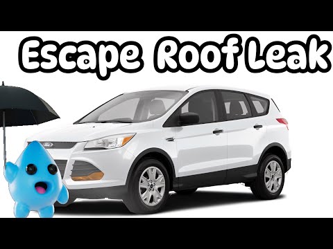 Видео: Протечка крыши автомобиля. Все автомобили. Распространенная проблема с протечкой крыши Ford Escape.