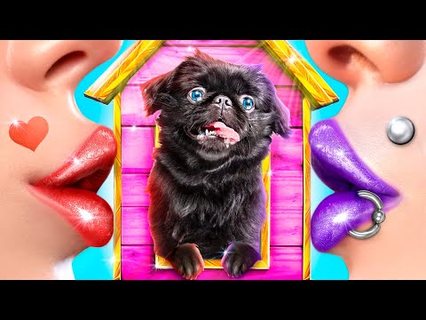 Видео: Мы спасли бездомного щенка! Лайфхаки для владельцев животных!