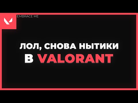 Видео: что делать с токсиками и неадекватами в Valorant