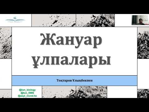 Видео: Пайдалы Биология 1 сабақ/Тоқтаров Ұлықбекпен/Жануарлар ұлпалары.