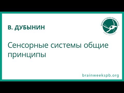 Видео: Сенсорные системы: общие принципы