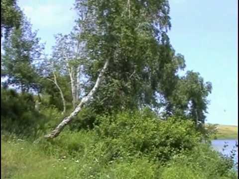 Видео: Денисовка