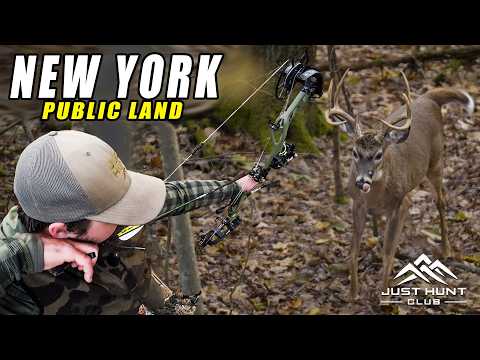 Видео: Охота с луком на общественных землях в Нью-Йорке | Успешная охота в лесах