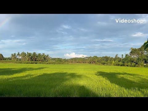 Видео: Предупредите и помогите Вашим родителям …| информация которая заставит Вас задуматься