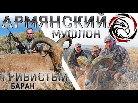 Видео: ТРОФЕЙНАЯ ОХОТА В ТЕХАСЕ. ФИЛЬМ ВТОРОЙ