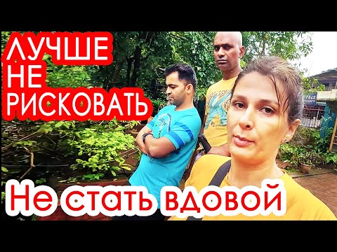 Видео: РОКОВАЯ ОШИБКА! Индийский муж в большой опасности