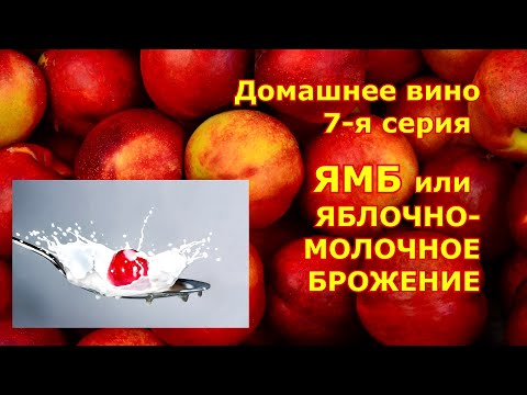 Видео: 7 я серия. ЯБЛОЧНО-МОЛОЧНОЕ БРОЖЕНИЕ. ФАКТОРЫ И УСЛОВИЯ. Домашнее вино