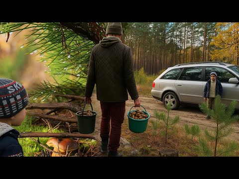 Видео: Збираємо Польські гриби у Волинських лісах