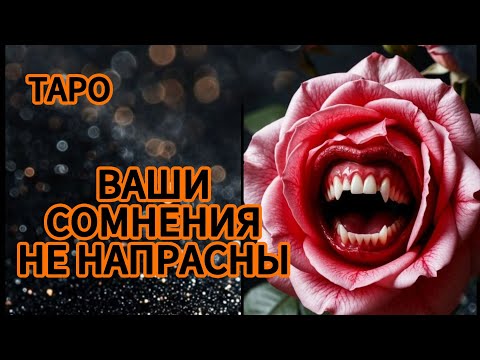 Видео: ‼️ВАШИ Сомнения🎯Не напрасны ‼️