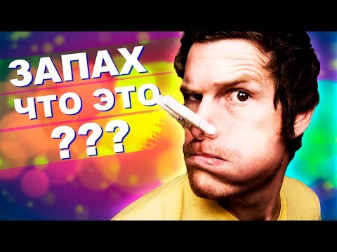 Видео: Что такое ЗАПАХ и как мы его Нюхаем [Наука на Пальцах]
