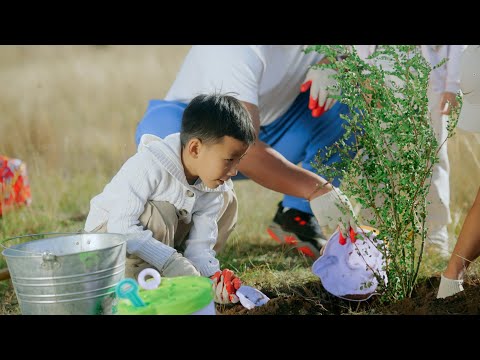 Видео: Бид мод тарьж байна - Тэрбум мод