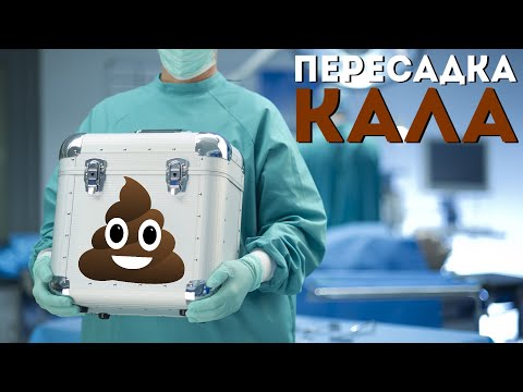 Видео: Что такое пересадка кала? | Трансплантация фекальной микробиоты