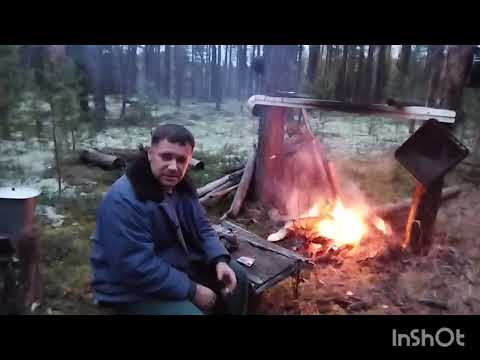 Видео: В Тайге с Индейцем, о том, о сем!