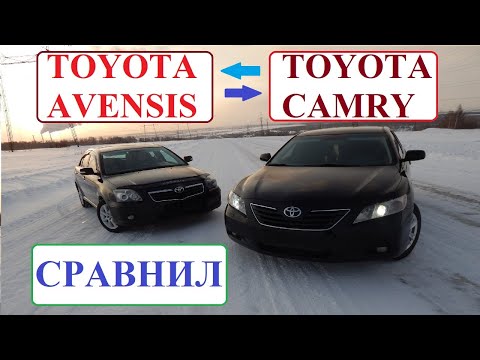 Видео: Сравнил Toyota Avensis (T250) и  Toyota Camry (XV40)