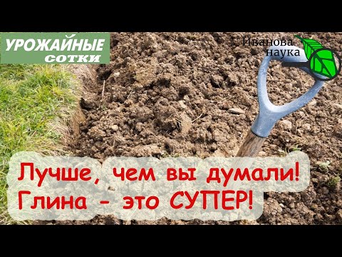 Видео: ВСЕГО 1 стакан раскроет ПОТЕНЦИАЛ тяжелой глинистой почвы! Сделайте так - и собирайте урожай!