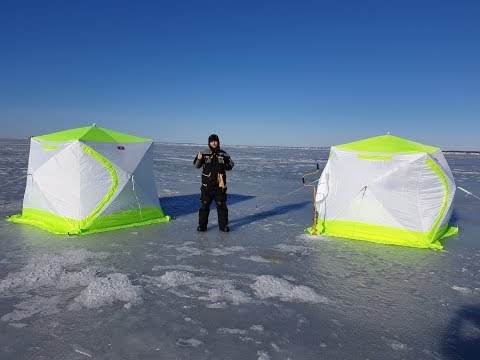 Видео: Рыбалка на корюшку в палатках. Комфортно или нет? ЮДФЗ 22.02