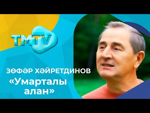 Видео: Зуфар Хайрутдинов - Умарталы алан / лучшие татарские песни / тмтв