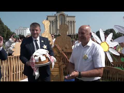 Видео: Дожинки 2024