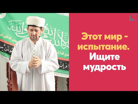 Видео: Этот мир - испытание. Ищите мудрость