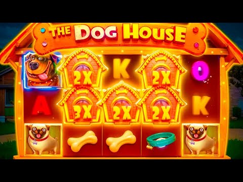 Видео: ПРОСТО УЖАС! НИ ОДНОГО БОНУСА ПО 200Р СО 120.000Р В THE DOG HOUSE / ТАКОГО НЕ БЫВАЕТ / ЗАНОСЫ НЕДЕЛИ