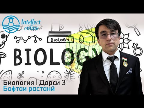 Видео: Биология | Бофтаи растанӣ | Дарси 3