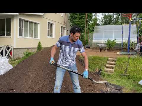 Видео: Копать правильно! Как не повредить спину, работая лопатой?