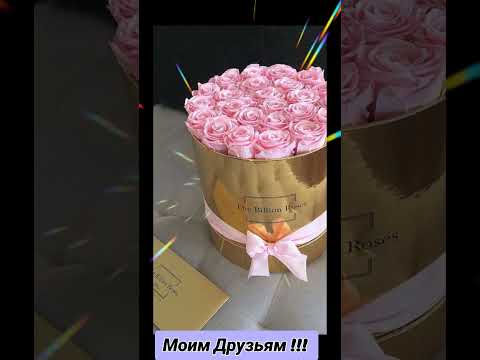 Видео: 28 октября 2025 г.