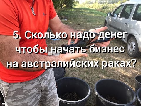 Видео: 5  Сколько надо денег чтобы начать бизнес на Австралийских раках?