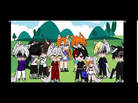 Видео: батал второе поколение волков против молодых родителей