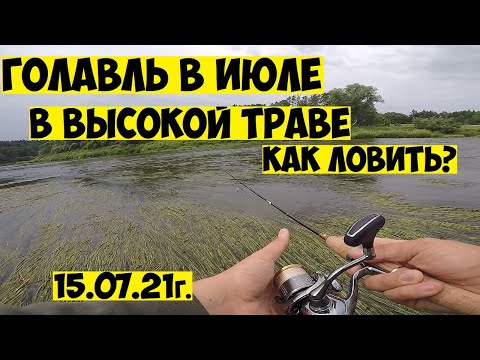 Видео: ЛУЧШИЙ воблер на ГОЛАВЛЯ ЛЕТОМ в высокой траве! Как ловить голавля летом на спиннинг! РЫБАЛКА в июле