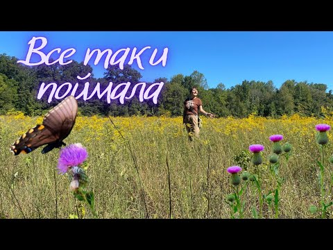 Видео: Все таки ПОЙМАЛА! Луг и его обитатели. Осенняя прогулка. Vlog