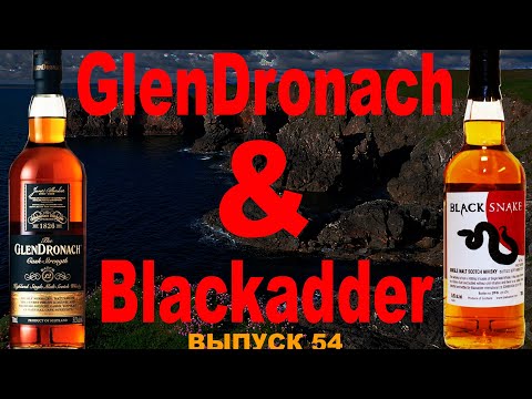 Видео: Выпуск 54. Сравнительная дегустация: GlenDronach Cask Str. &  Blackadder BlackSnake #глендронахвиски