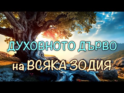 Видео: ДЪРВО според ЗОДИЯТА