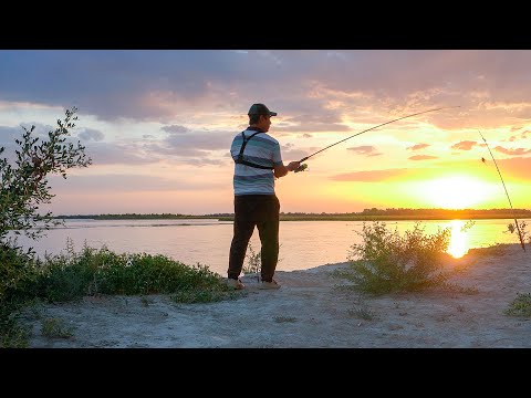 Видео: ДИКАЯ РЫБАЛКА на реке ИЛИ/ ТАК УДОЧКИ еще никто НЕ ГНУЛ/ открытие сезона рыбалки