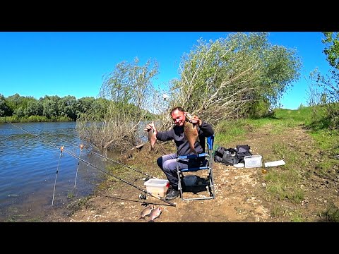 Видео: ДОНКА или ФИДЕР ? Насадка пенопласт! Ловля леща на донки! Рыбалка на Оке!