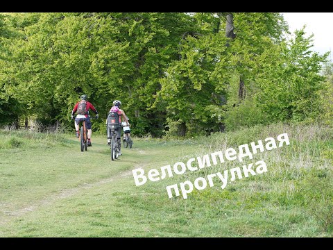 Видео: Вдоль Английских полей на велосипеде 📸🚴 Cycling on Phonix trail