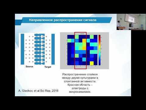 Видео: Казанцев В.Б. Модели и технологии нейрогибридных систем