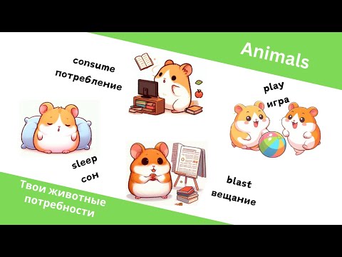 Видео: Животные потребности (Animals) (OPS)