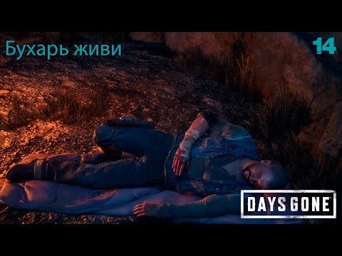 Видео: Прохождение Days Gone №14 #daysgone