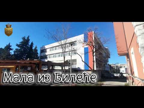 Видео: Мала из Билеће - (Cover - Vratiće se Novak)