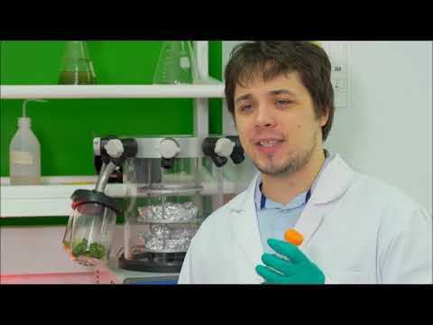 Видео: Получение биотоплива. Программа "Наука" #18