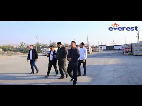 Видео: 31 октября 2025 г.